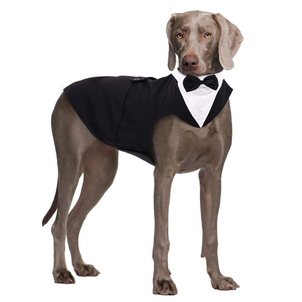 QBLEEV Dog Formal Tuxedo Suit for Medium Large Dogs，For Costume Wedding ...