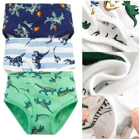 

Zacharyer Little Boys Briefs Panty 3 Pack Soft Cotton Dinosaur Truck Toddler Underwear Size 3T
