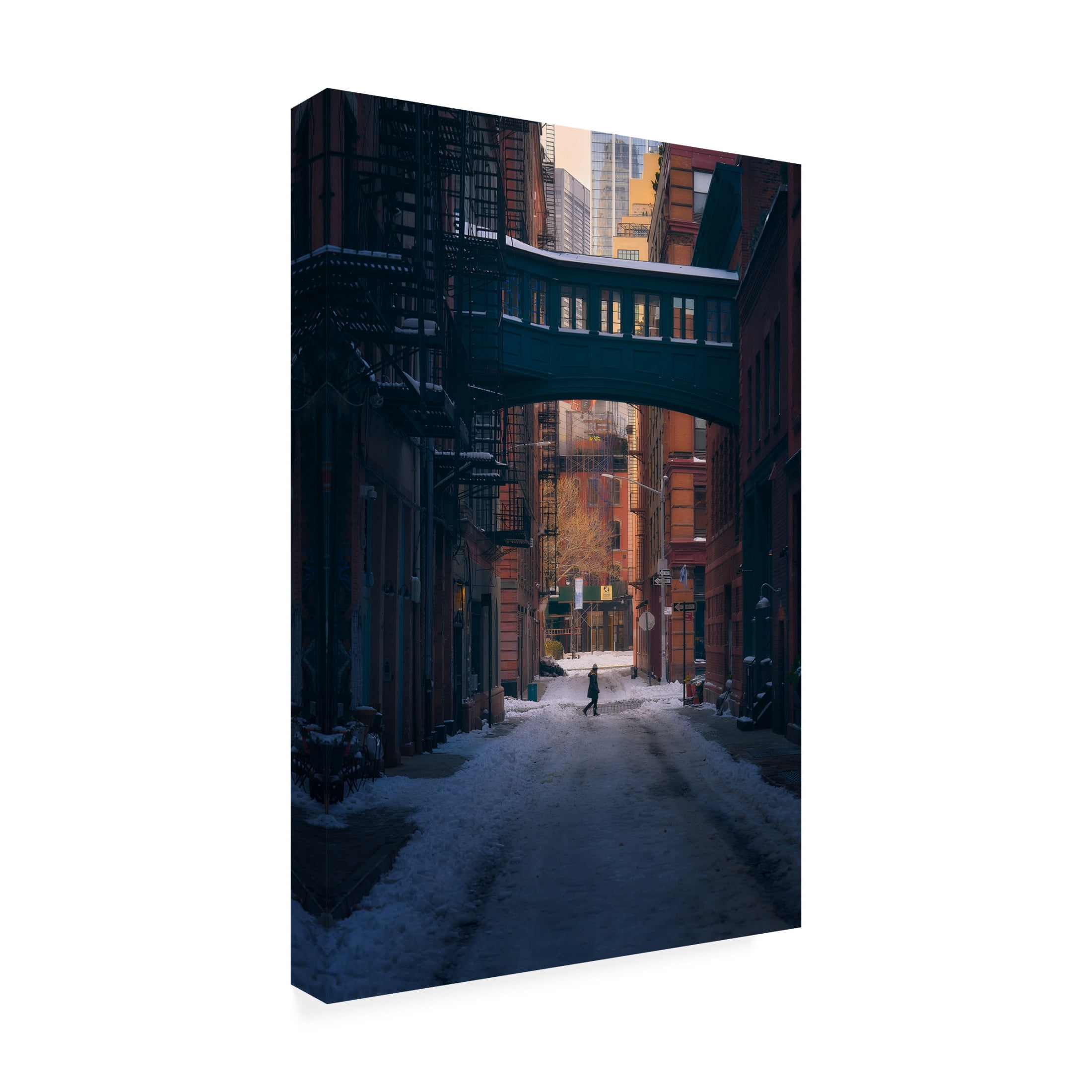 Trademark Fine Art Javier de la Under the Skybridge Canvas Wall Art