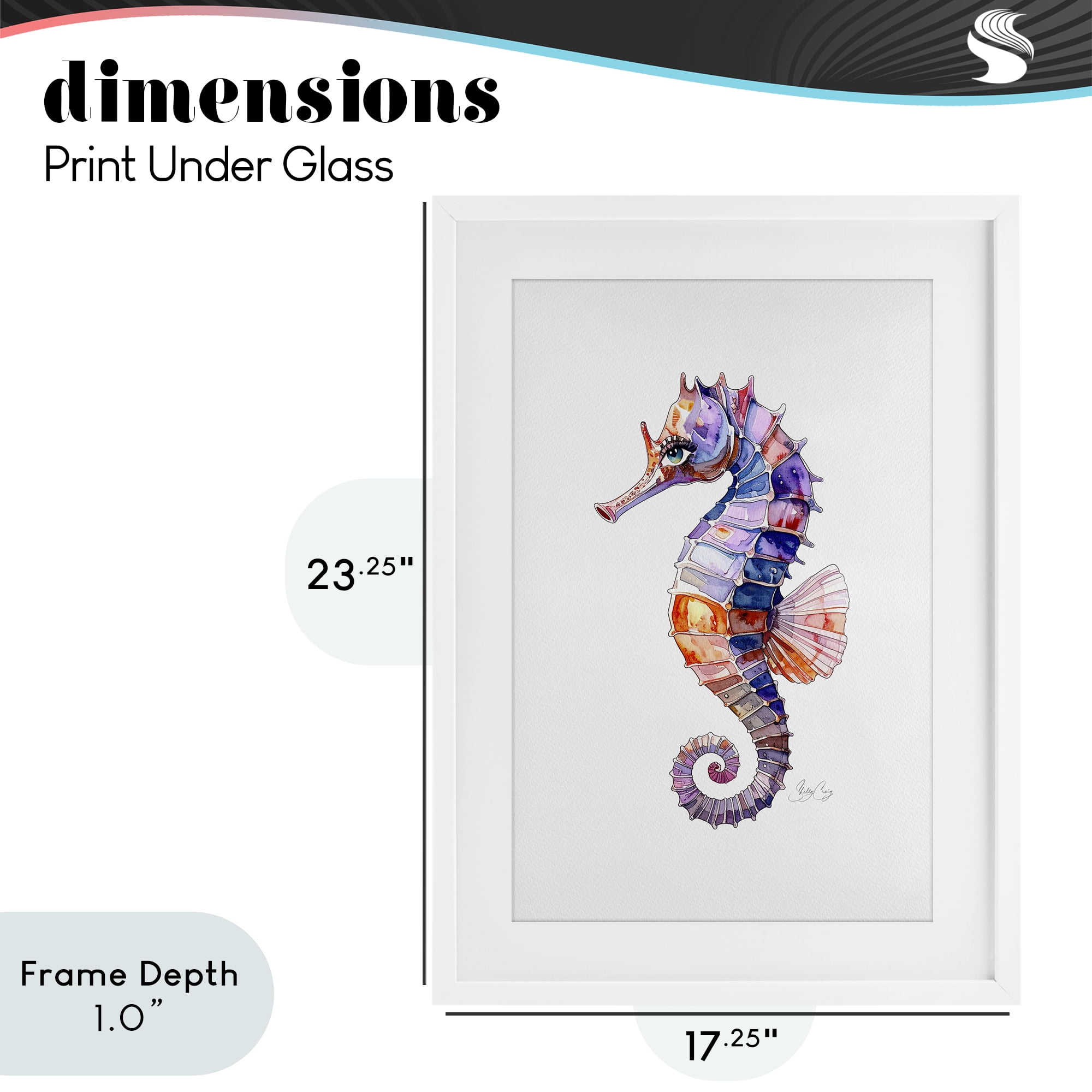 Stupell Industries Sea Whisper Seahorse White Framed Print Under Glass, design by Shelly Craig