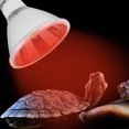 thumbnail image 2 of Reptile Infrared Heating Light Terrarium Tortoise Lizard Snake Sun Dome Lamp 220V (40W), 2 of 11