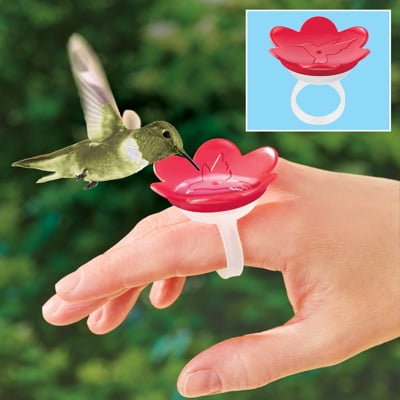 Flower Design Hummingbird Feeder Ring