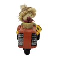 thumbnail image 4 of Espantapájaros Decorativo Way to Celebrate En Auto Con Fruta, 4 of 4