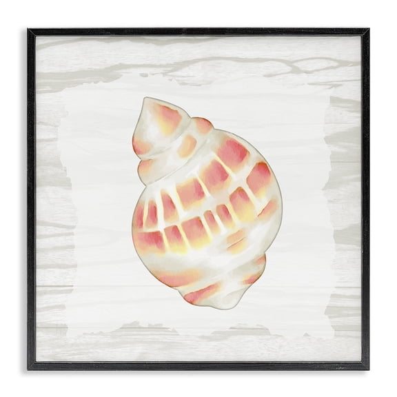 Stupell Industries Rustic Lodge Pink Rustic Seashell Black Framed Giclee Art, 12 x 12, by Anne Bailey