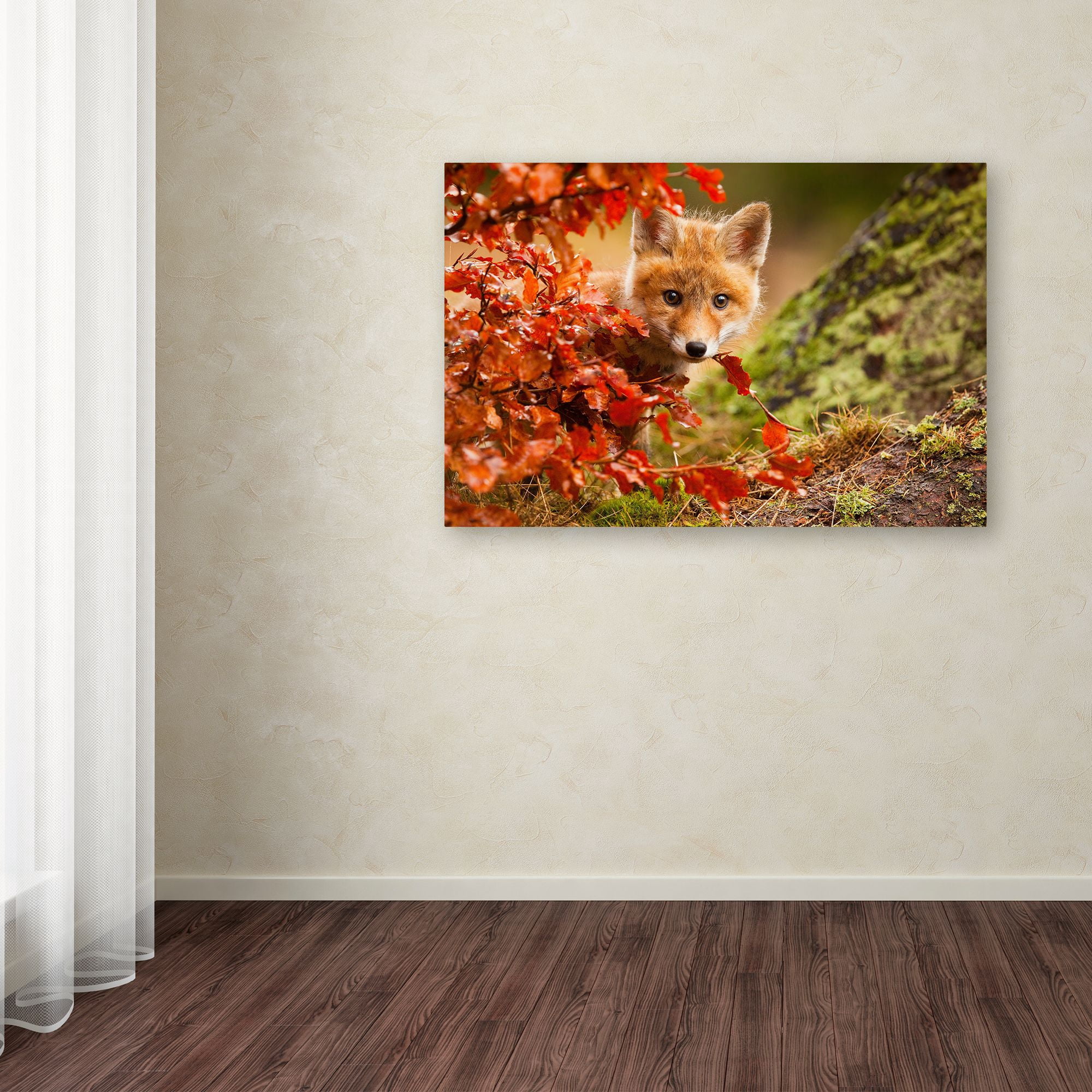Trademark Fine Art 'Fox' Canvas Art by Robert Adamec