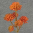 thumbnail image 2 of Bag Of 6, 12.5 Inch Succulent Pick For Seasonal & Home Decor - Orange, 2 of 5