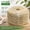 Natural Color, variant on Green Sisal Rope 1/4 Inch by 65 Feet – Durable Cat Scratching Post Replacement, DIY Hemp Twine for Cat Trees, Climbing Shelves, Scratch Mats, Window Perches, 6mm by 20m