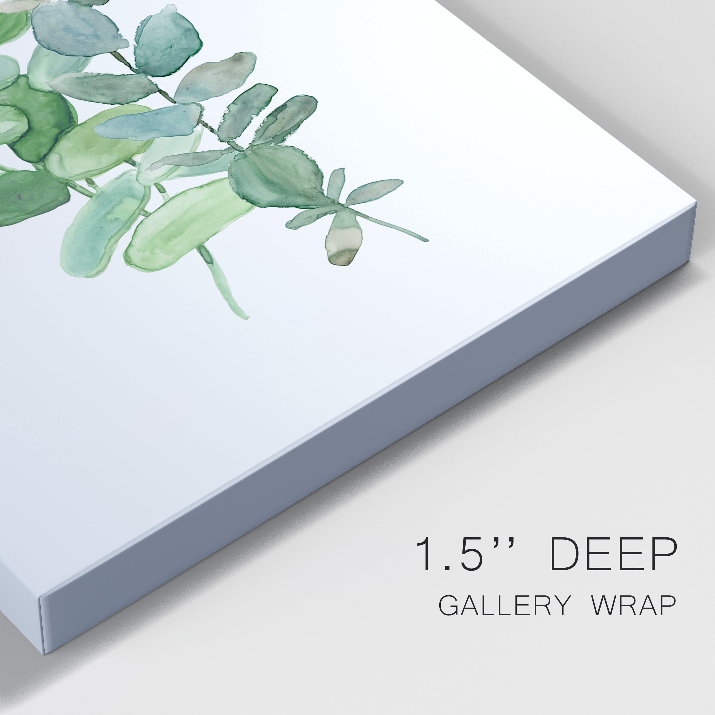 Eucalyptus II Premium Gallery Wrapped Canvas - Ready to Hang - 40 x 60