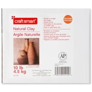 Craft Smart 10lb Terracotta Natural Air-Dry Clay - Non-Toxic Clay for Hand Modeling, Sculpting, Pottery - Bulk 4 Pack