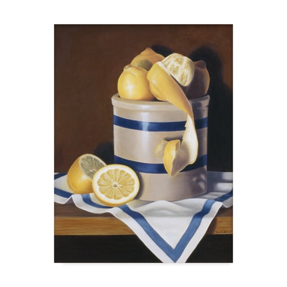 Trademark Fine Art 'Blue Striped Lemons' Canvas Art by Cecile Baird