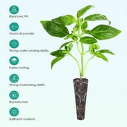 Grow Sponges Replacement Pods for Efficient Hydroponic Indoor Garden Cultivation System