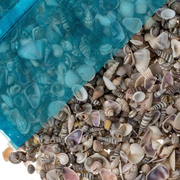 Tiny Miniature Fairy Garden Sea Shell Assorted Mix Tiny Small Sea Shells for Craft and Decoration Plus Free Nautical Ebook by Joseph Rains (7.5 Ounces, 750+)
