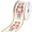 Pink, variant on Homeford Christmas Cutesy Nutcracker Faux Linen Wired Ribbon, Green, 2-1/2-inch, 10-yard