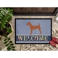 thumbnail image 3 of Carolines Treasures BB8276MAT Irish Terrier Welcome Door Mat Indoor Rug or Outdoor Welcome Mat 18x27 Doormat  27"L x, 3 of 4