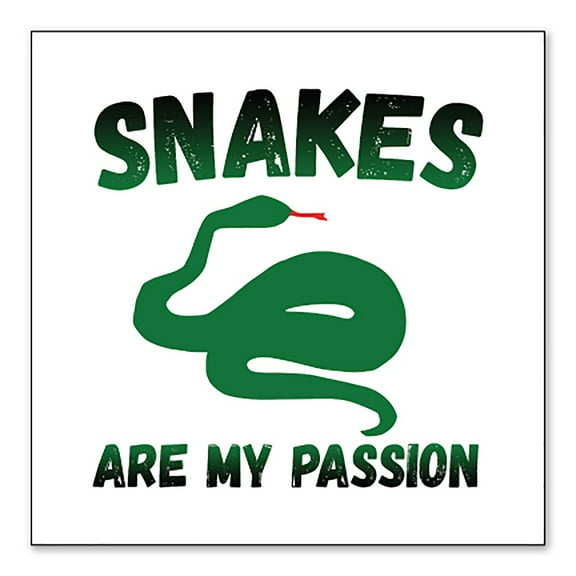 DistinctInk Custom Bumper Sticker - 6" x 6" Decorative Decal - White Background - Snakes Are My Passion