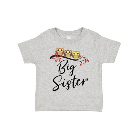 

Inktastic Owl Big Sister Gift Toddler Toddler Girl T-Shirt