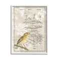 thumbnail image 4 of Stupell Industries Bird House Vintage Patent Forest Pattern Yellow Canary, 11 x 14, Design by Daphne Polselli, 4 of 5