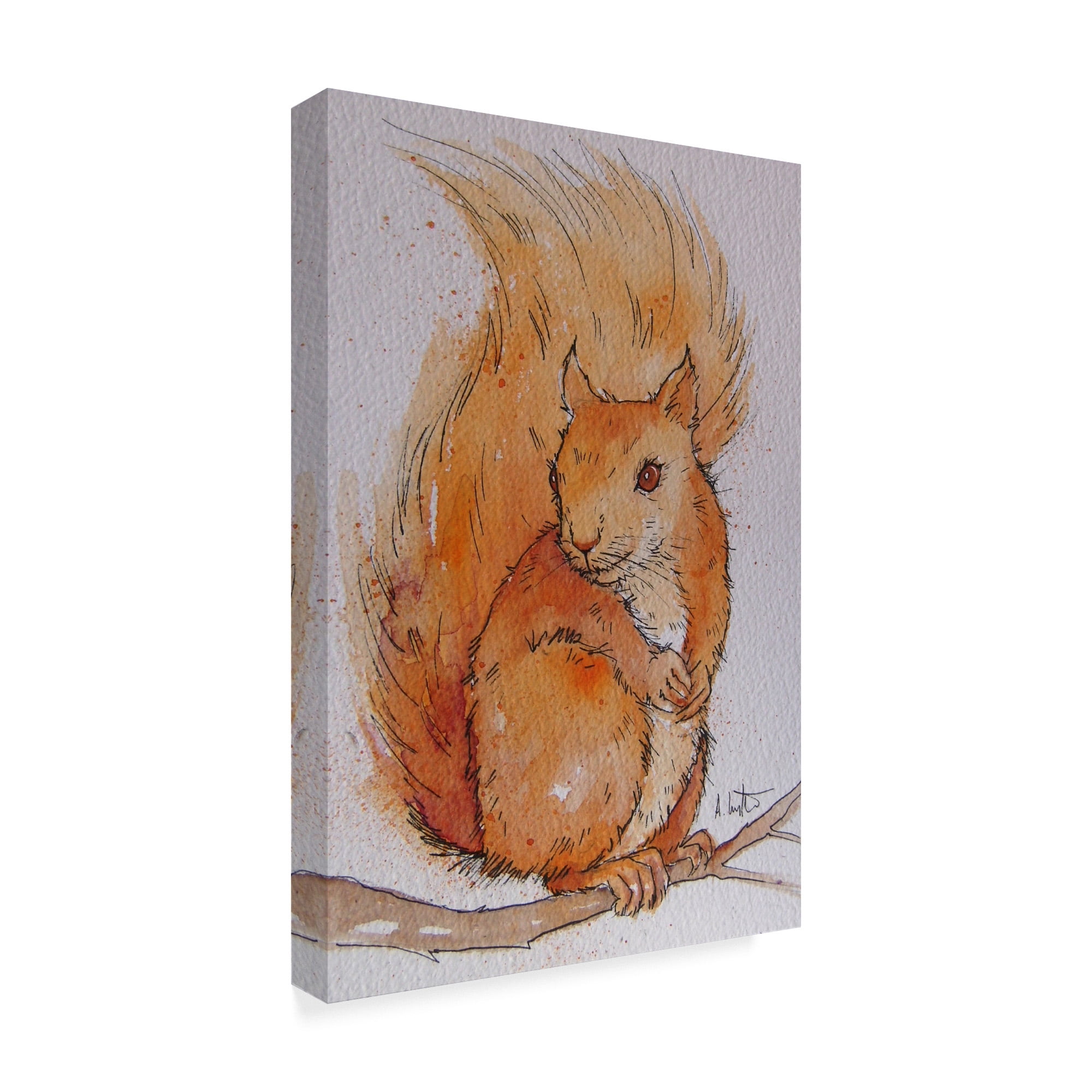 Trademark Fine Art 'Squirrel On White' Canvas Art by Angie Livingstone