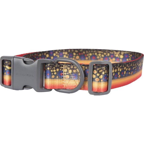 Pet Champion Brook Trout Strategy Fin and Foul Series Dog Collar, Large