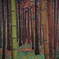 thumbnail image 2 of Li-Leger, Don 15x15 White Modern Wood Framed Museum Art Print Titled - Magical Forest, 2 of 4