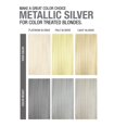 thumbnail image 5 of Champú Depositante De Color Plateado Metálico, Color De Cabello Semipermanente Con Bondheal Bond Rebuilder, Tinte Para El Cabello Plateado, 6.4 Oz, 5 of 5