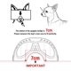 thumbnail image 3 of Gafas de sol para perros, gafas protectoras para perros, gafas de moto para perros pequeños y medianos., 3 of 4