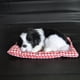 thumbnail image 3 of Rygai - Muñeco de perro cachorro durmiendo de simulación, bonito juguete con sonido, juguete para niños, regalo de decoración, color blanco, 3 of 8