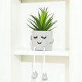 thumbnail image 1 of Plantas suculentas artificiales Linda pierna colgante Oso Falso Suculenta Planta en maceta Decoración para el hogar Oficina Dormitorio Sala de estar Escritorio Estantería Juego de 1, 1 of 5