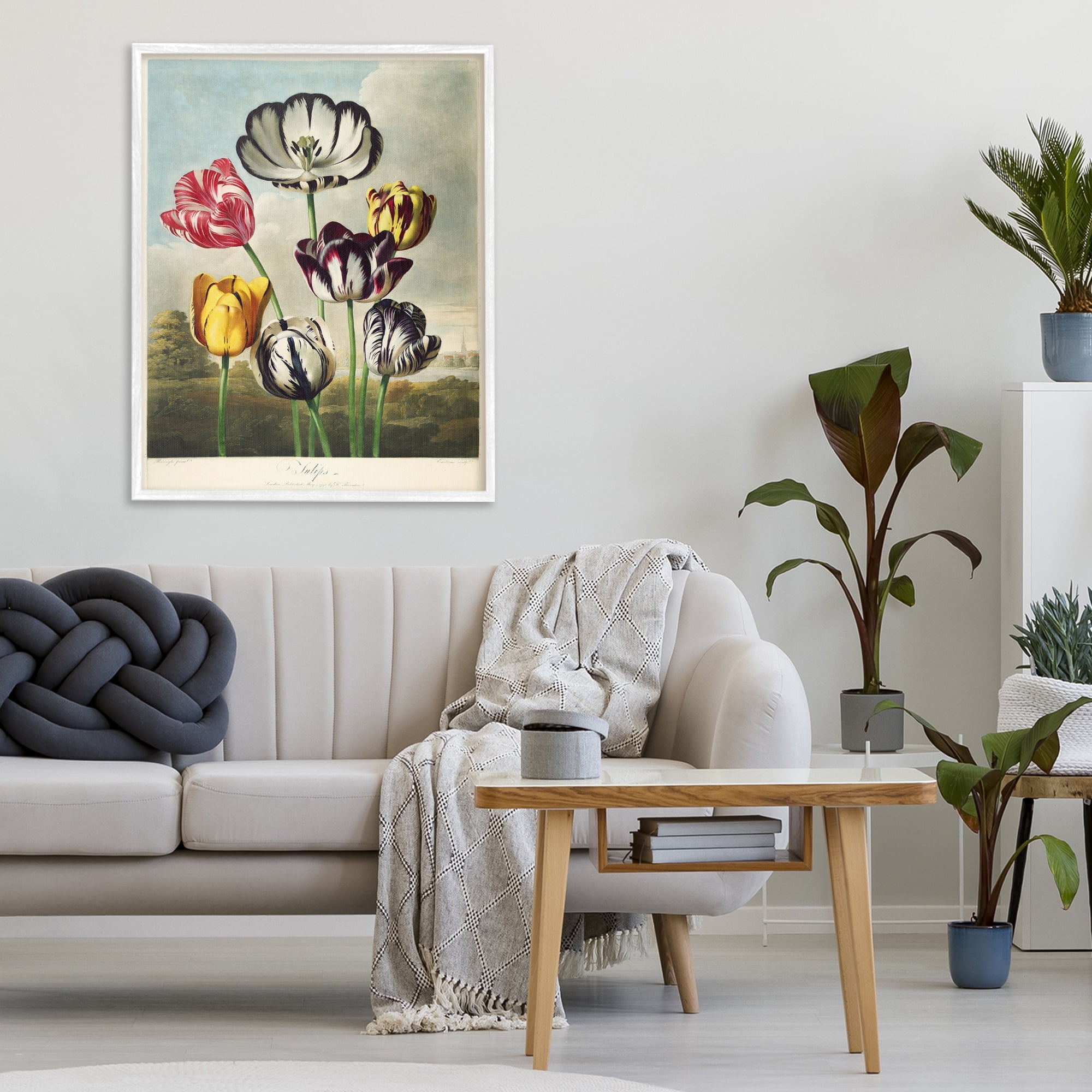 Stupell Industries Tulips From The Temple White Framed Giclee Art, design by Print Collection