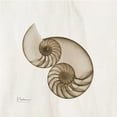 thumbnail image 2 of Koetsier, Albert 12x12 Gold Ornate Wood Framed with Double Matting Museum Art Print Titled - Brown Shell Pair, 2 of 4