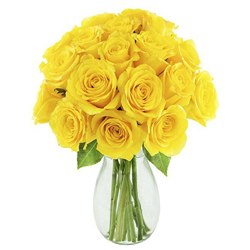 Kabloom Bouquet of 18 Fresh Yellow Roses (Farm-Fresh, Long-Stem) with