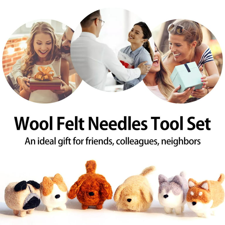 Max Kindly Needle Felting Kit Beginner | 24 Colors Needle Felt Kit Includes  Instructions, Case, Felting Needles, Assorted Wool roving, and Other