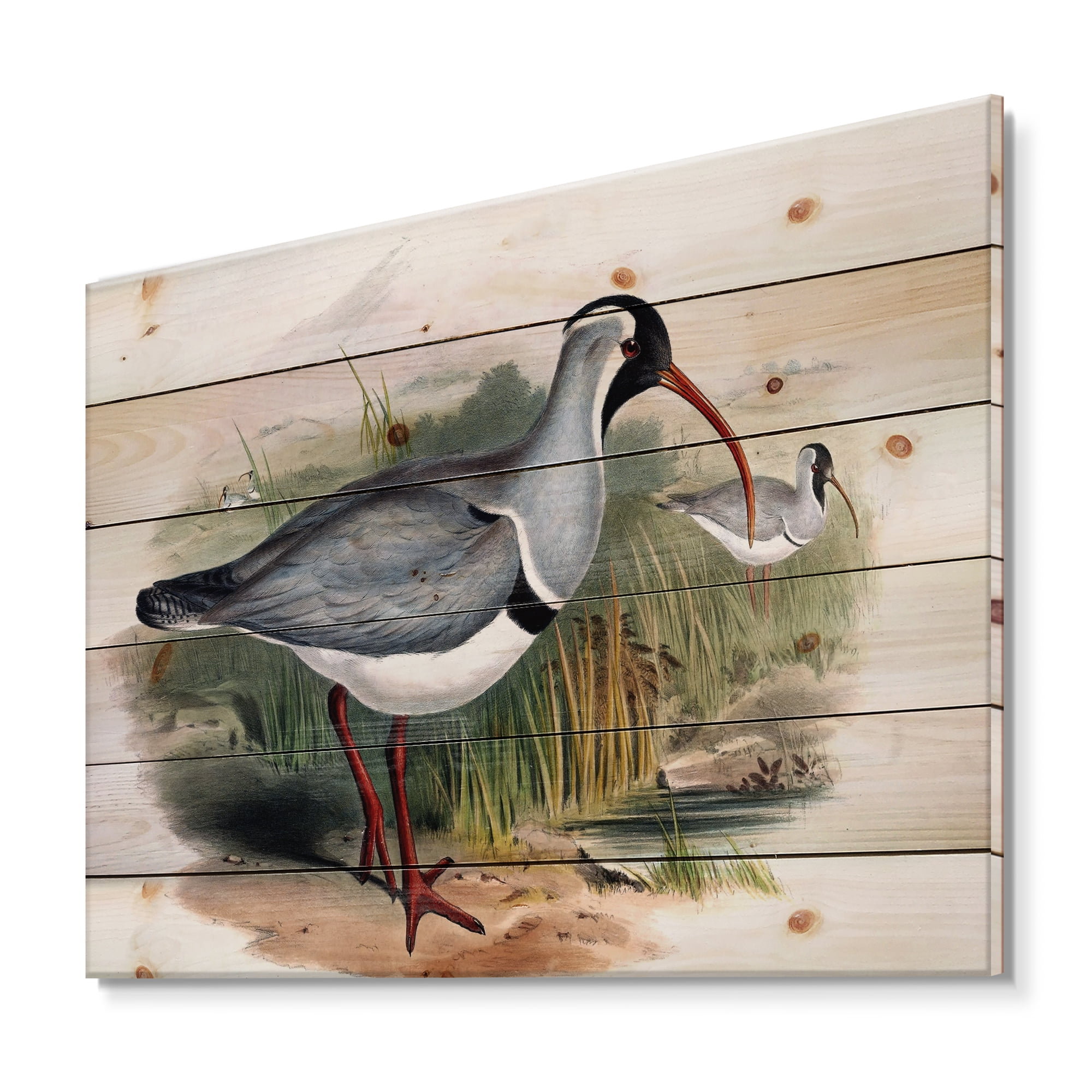 Designart 'Vintage Countryside Birds In Wild' Farmhouse Print on Natural Pine Wood