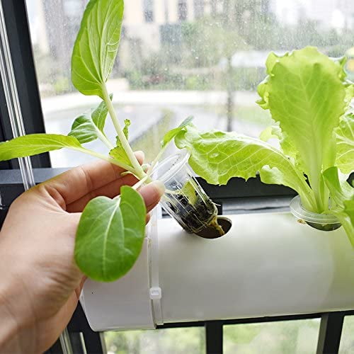 Salad Greens Kacsoo Hydroponic Grow Kit For Vegetables Fruits PVC Hydroponic Pipe Home Hydroponic Grow Kit 36 Sites 4 Pipes，1 Layer Flowers
