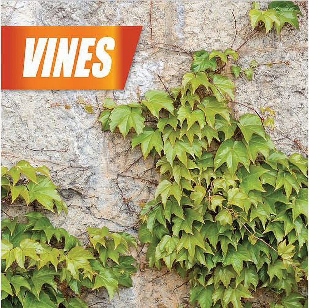 Pulverize Weed, Brush & Vine Killer 1 Gallon Ready to Use with Nested Trigger