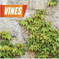 thumbnail image 7 of Pulverize Weed, Brush & Vine Killer 1 Gallon Ready to Use with Nested Trigger, 7 of 7
