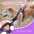 thumbnail image 6 of PoyPet Dog Harness and Leash Combo, Escape Proof No Pull Vest Harness, Reflective Adjustable Soft Padded Pet Harness with Handle for Small to Large Dogs, 6 of 7