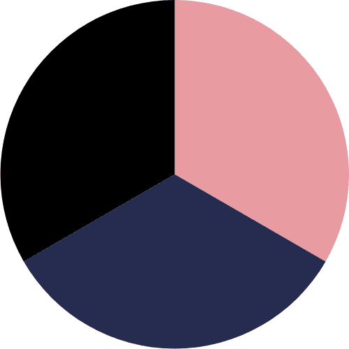 Black/Mauve/Navy