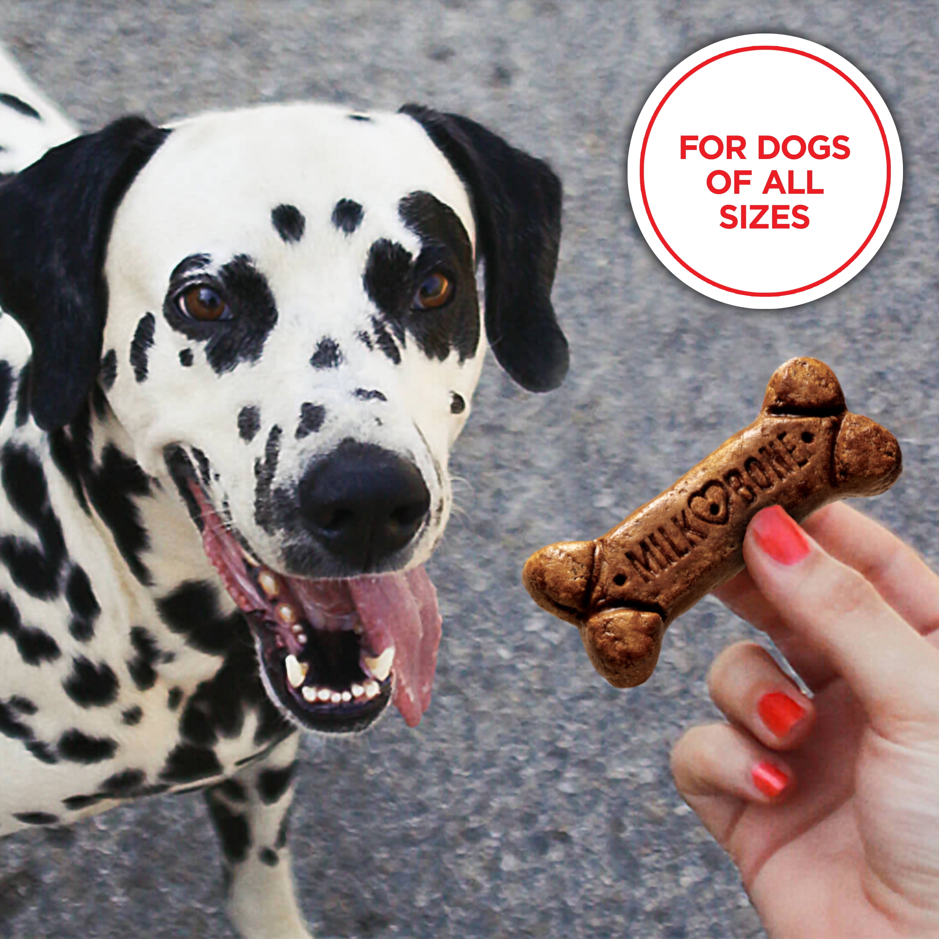 milk bone gravy bones 60 oz