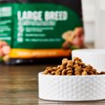 thumbnail image 2 of Pure Balance Pro+ Large Breed Chicken & Brown Rice Recipe Dry Dog Food, 16 lbs, 2 of 10