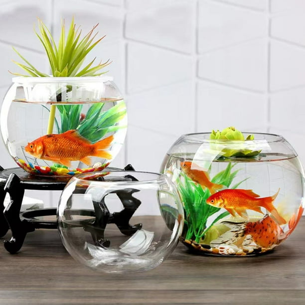 Glass Fish Bowl Small Fish Tank Desktop Fish Tank Clear Goldfish Bowl  Goldfish Tank