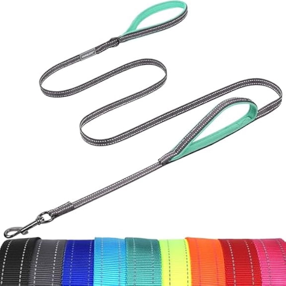 Eryueer Dog Leash Twingrip Double Handle Dog Leash with Traffic Handle Control & 2 Loop for Walking & Training, Reflective Heavy Duty for Puppy Pet Collar, 5ft x 1/2in, Grey