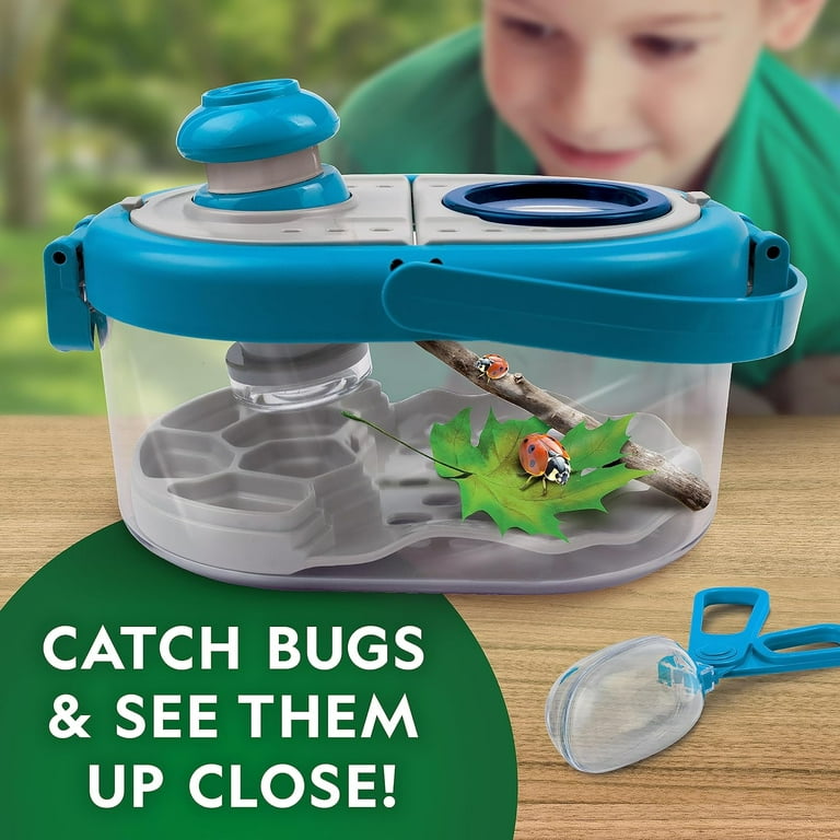 Bug catching toys sale