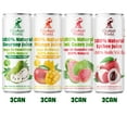 thumbnail image 2 of Elephant World 100% Natural Juices Canned | Assorted Superfruits | Soursop-Mango-Guava-Lychee | NO Sugar added | NOT From Concentrate | NON GMO | 12 Pack, 320 ML, 2 of 9