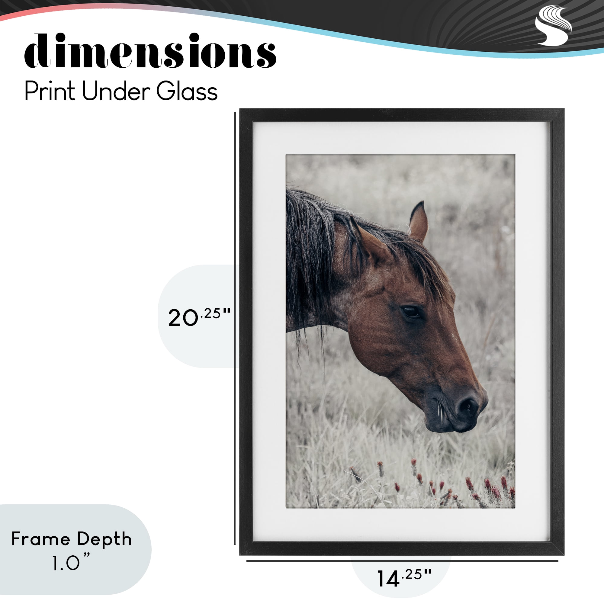 Stupell Industries Mother Horse Grazing in Meadow Black Framed Print Under Glass, design by Nathan Larson
