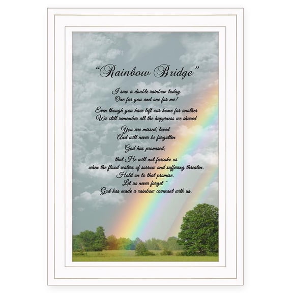 TrendyDecor4U Rainbow Ready To Hang Framed Print ME48A-226G