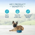 thumbnail image 5 of Blue Buffalo Life Protection Formula Natural Adult Small Breed Dry Dog Food, Chicken and Brown Rice, 3-lb, 5 of 9