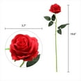 thumbnail image 4 of Awwp Red Artificial Rose 19.6", Single Stem Flower, Realistic Silk Rose for Wedding Bouquet Centerpiece, Long Stem Faux Rose for Home Table Birthday Decor DIY Arrangements, 4 of 9