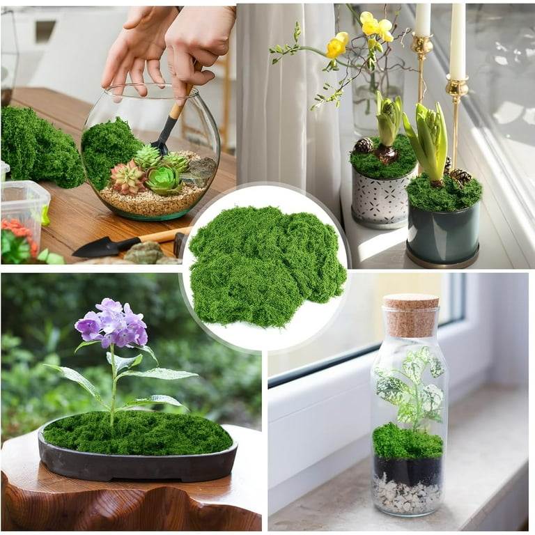 plant self watering devices ORIMERC 1/6 inch (4mm) Self watering Wick Cord for Vacation Self-water –  Orimerc main image 1