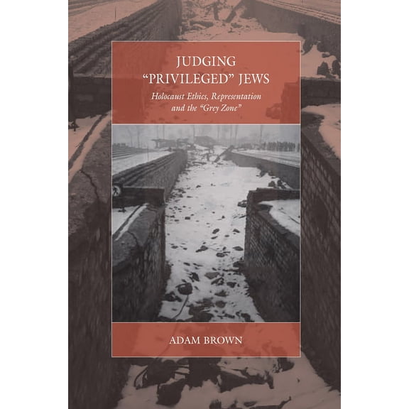 War and Genocide Judging 'Privileged' Jews: Holocaust Ethics, Representation, and the 'Grey Zone', Book 18, (Hardcover)